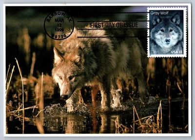 3292 Arctic Animals Gray Wolf FDC Maxi Card - Image 1 of 2