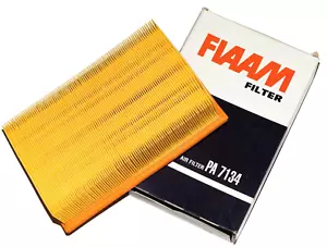 Filtro de aire FIAMM PA7134 VW Polo Caddy SEAT Córdoba Ibiza Toledo ŠKODA Felicia - Imagen 1 de 1