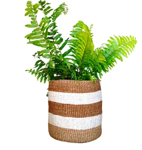African Kiondo Basket Woven Sisal Storage Planter Kenyan Made 10.5 in/27cm Beige - Picture 1 of 7