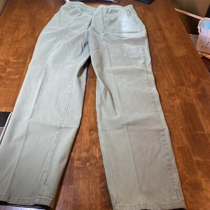 Denim Co Womens Pants 1X Green Solid Pockets Elastic Waist Stretch Cotton - Picture 1 of 7