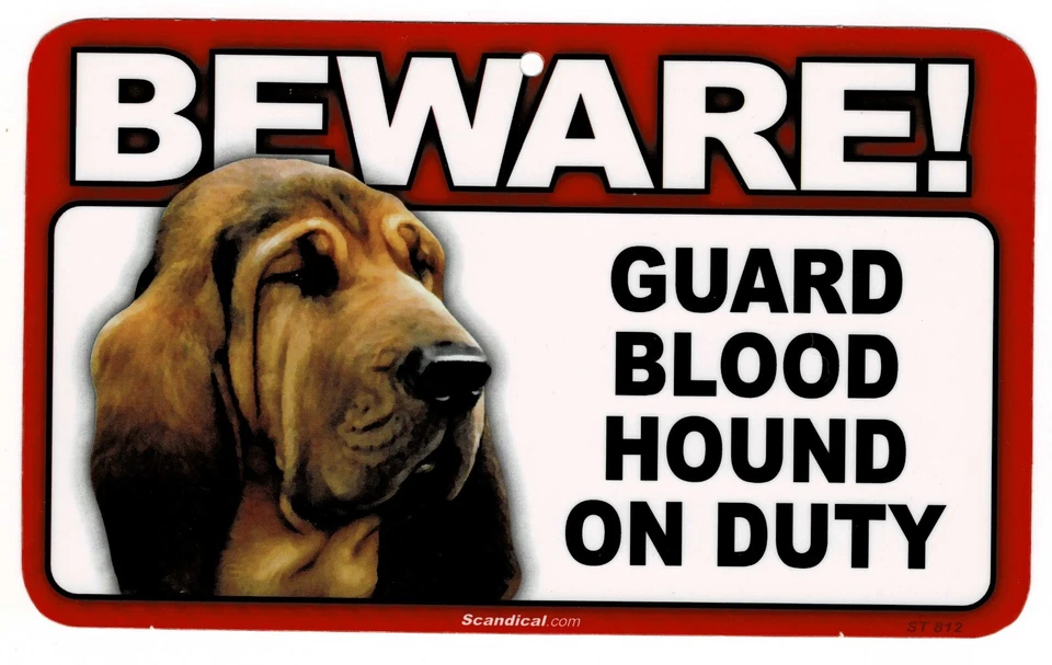 CUIDADO CON EL LETRERO RECTANGULAR LAMINADO PERRO/MASCOTA SABUESO. ENVÍO COMBINADO. Foto 1 de 1