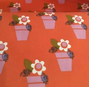 Flores Dashwood Studio 'Amelie' en macetas sobre naranja - Imagen 1 de 2