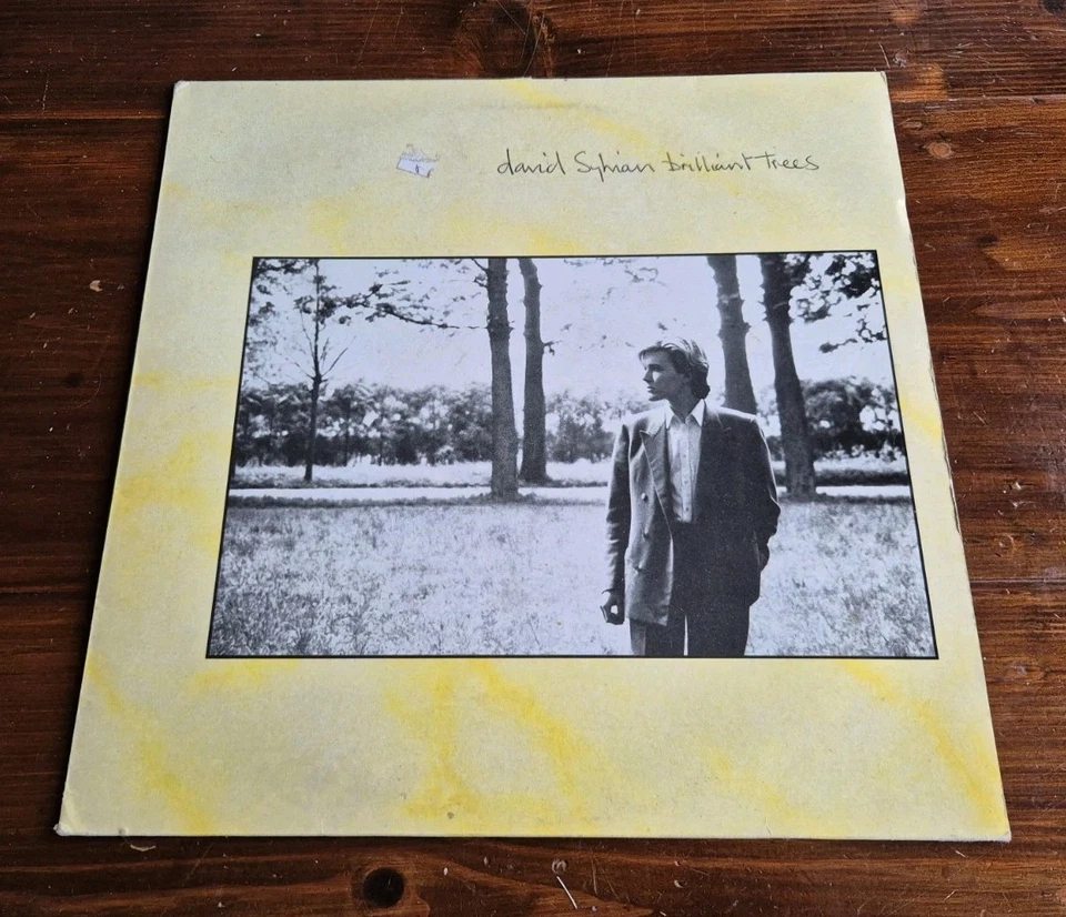 DAVID SYLVIAN - BRILLIANT TREES LP V2290 VIRGIN 1984 VG+!  - Image 1 of 1
