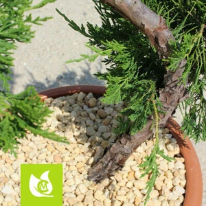 Taunus Quarz Kies, gelb, für Garten oder Dekoration - Bild 1 von 3