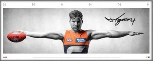 AFL TOBY GREENE GWS GIANTS OFFICIAL AFL HAND SIGNED FULL SIZE WINGS PRINT KELLY - Picture 1 of 2