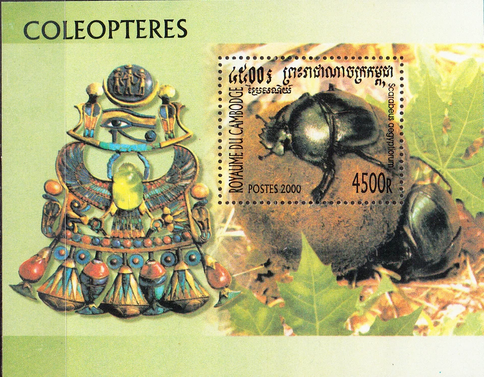 W CAMBODIA 1937 INSECTS - Image 1 of 1