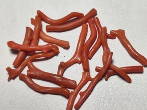 Finest Quality Natural Coral Raw Crystals 25.5 Carats Red Color - Picture 1 of 5