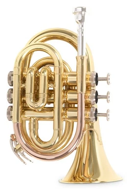 Roy Benson PT-101 in B Taschentrompete Messing lackiert - Bild 1 von 4