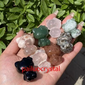 10pcs Natural Mixed Cat Quartz Crystal Skull Carved Figurines reiki Healing 1.1" - Bild 1 von 9