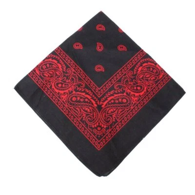 Bandana 100 Cotton Paisley Print Double-Sided Scarf Head Neck Face Mask 22"X22" - Image 1 of 4
