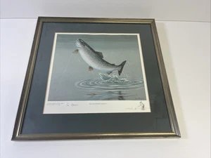 Tim Hawes Signed Print The Rainbow Trout Limited Edition Framed 42cm x 42cm - Picture 1 of 12