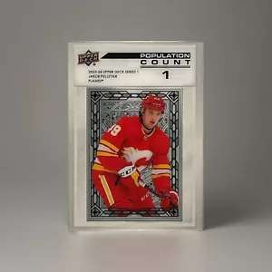 Jacob Pelletier Population Count 1 Rare 1 of 1 Upper Deck NHL - Picture 1 of 2