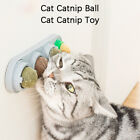 Cat Catnip Ball Pet Ball Toy Cat Catnip Toy f