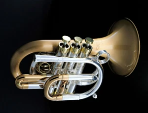 CarolBrass CPT-9392-RLM(D)-Bb-BC Bill Colletti Pocket Model 2024 Clear Lacquerd - Picture 1 of 9