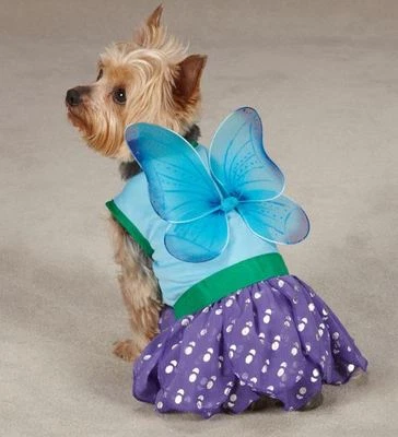 Dog Halloween Costume Woodland Fairy  XS-L Pet Casual Canine Blue - Image 1 of 3