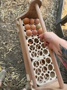 Caja nido gallinero de madera gallina aves mascota cabaña jardín hogar huevo EE. UU. C1 - Imagen 1 de 21