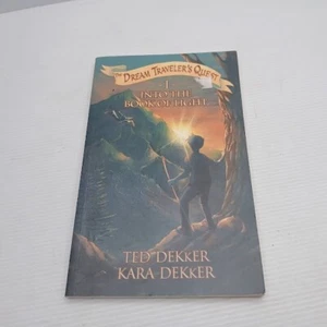 Into the Book of Light (The Dream Traveler's Quest Book 1) by Outlaw Studios - Picture 1 of 9