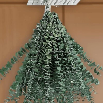 Paquete de 15 piezas de eucalipto natural para ducha 100 % eucalipto real 17" pr... Foto 1 de 4