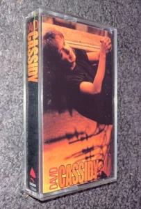 David Cassidy Cassette Tape 1990 Self Titled Solo Album Partridge Family Enigma - Picture 1 of 7