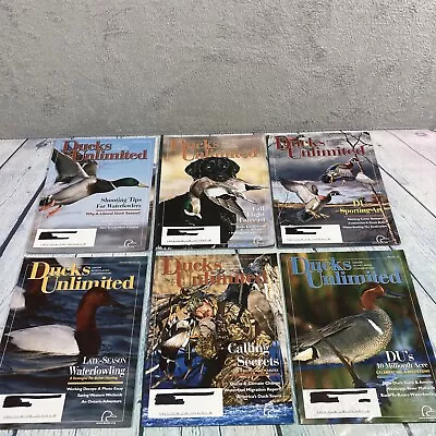 Ducks Unlimited Magazines 2002 Complete Year 6 Issues Lot Jan.-Dec. Wetlands - Image 1 of 4