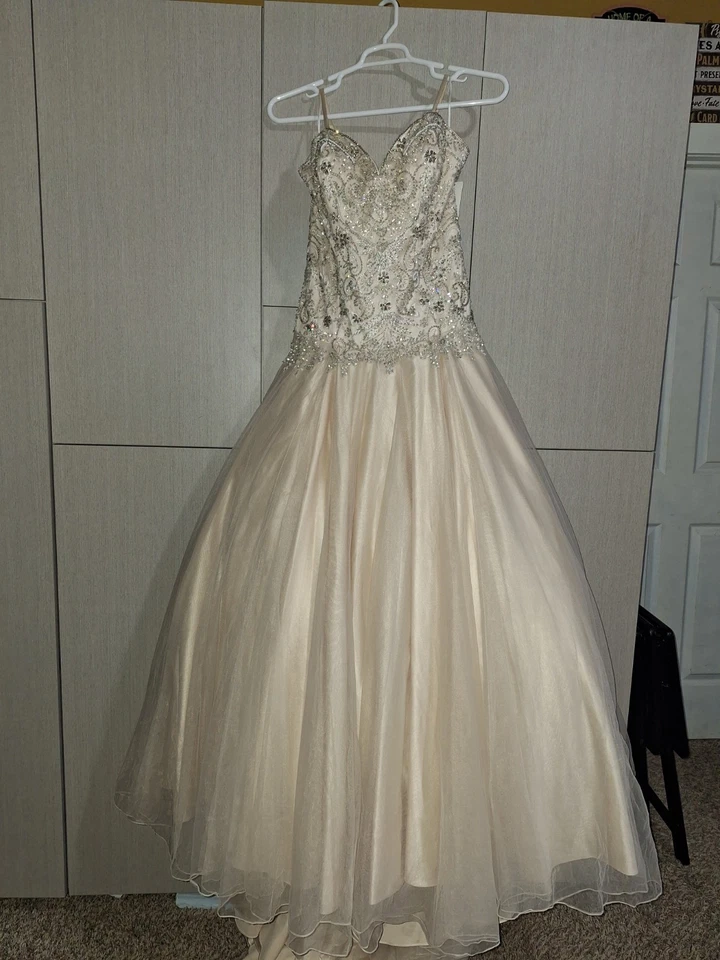 Christina Wu Champagne Beaded Ball Gown - Image 1 of 4