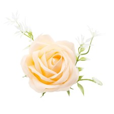 Preserved Single Rose Soap Flower Gift Box Valentines Day Birthday Gifts #gib