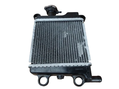 Radiador De Agua ORIGINAL Yamaha HW Xenter 125 2011 2020 52SE240A0200 - Imagen 1 de 4