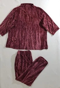 Isaac Mizrahi Live! 2 Pc Velvet Pullover Shirt Size 2X & Pull on Pants Size 1X - Picture 1 of 10