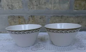 2 tazas natillas Syracuse China Syralite LAGUNA Nautical Ocean Wave bronceadas sello 1975 - Imagen 1 de 5