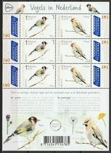 Nederland NVPH 3738-39 Vel PostEurop Vogels in Nederland 2019 Postfris - Afbeelding 1 van 1