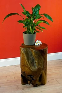 Side Table Wood Root Wood Teak Root Table Flower Stool Solid Natural - Photo 1 sur 5