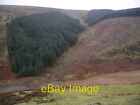Photo 6x4 Forestry plantation, Kelphope valley Friar's Nose One of the su c2006