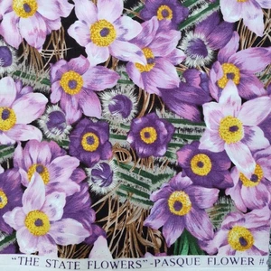 Northcott Stoffe The State Stoff Pasque South Dakota Baumwolle Quilt 1/2 Yd - Bild 1 von 1