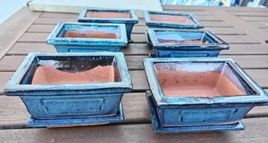 Blue Rectangular Glazed Bonsai Pots With Drip Tray 12 cm x 9.5 cm - Picture 1 of 3