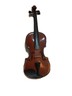 Alfred Stingl Hofner Violin