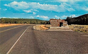 Medicine Bow National Forest WY Wyoming Entrance Sign Postcard - Picture 1 of 2