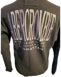 Abercrombie Kids Screenprint Sweatshirt Manhattan Size 13/14 Blue - Picture 1 of 3