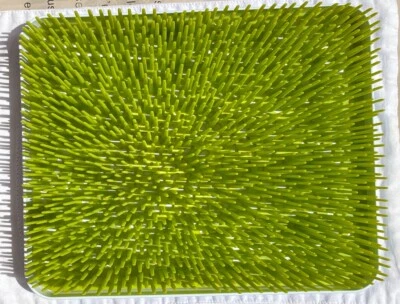 Estante de secado de encimera de césped Boon ~ biberones, platos, utensilios, más Foto 1 de 4