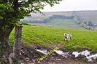 Photo 12x8 West Somerset : Exmoor - Stone Down Exford Looking across Stone c2014