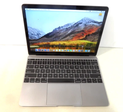 A principios de 2016 12" Macbook disco duro sondas batería buena pantalla buena "tal cual" A1534 Foto 1 de 4