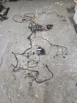 Mk2 Fiesta Wiring Loom - Image 1 of 2