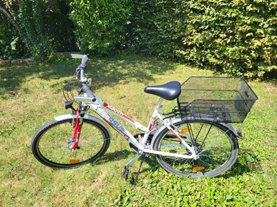 Pegasus Fahrrad 26 Zoll. Wie NEU! - Bild 1 von 4