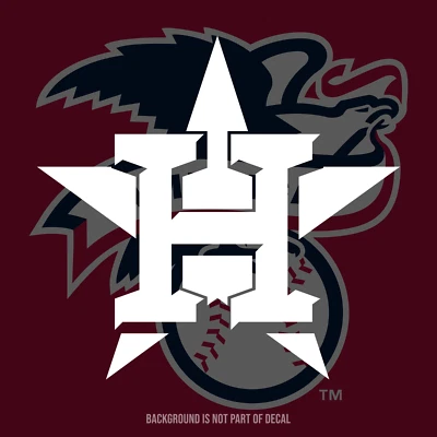 Houston Astros Vinyl Decal Sticker - Image 1 of 3
