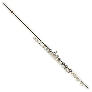 Yamaha YFL 222 Silver Student Flauto Offset G Footjoint C con Custodia Rigida + Borsa JP - Foto 1 di 8