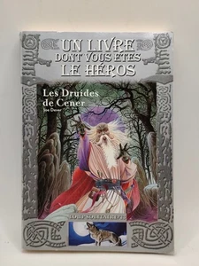 Buch Dessen Held Du Bist Die Ascherdruiden LDVELH Joe Dever 2006 - Bild 1 von 7