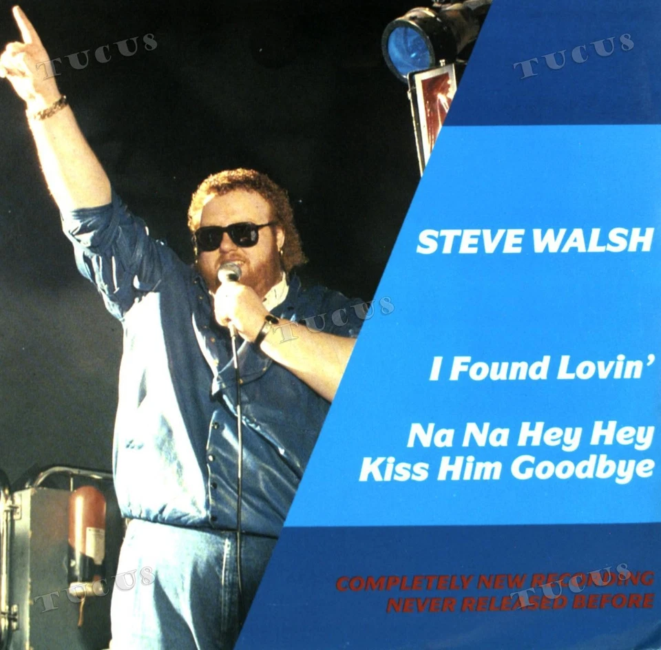 Steve Walsh - I Found Lovin' / Na Na Hey Hey Kiss Him Goodbye 7in (VG+/VG+) '* - Image 1 of 1