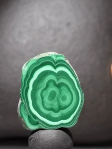 MALACHITE STALACTITE STALACMITE Polished SPECIMEN CONGO slice - Picture 1 of 12