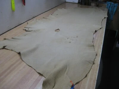 Top Grain Buffalo Leather # 1866512 ROW 29 - Image 1 of 4