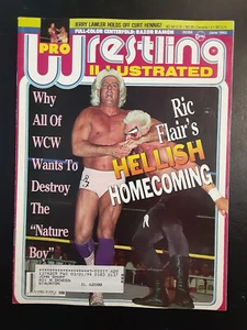 Pro Wrestling Illustrated June 1993  Ric Flair Sting Razor Ramon Jerry Lawler - Picture 1 of 2