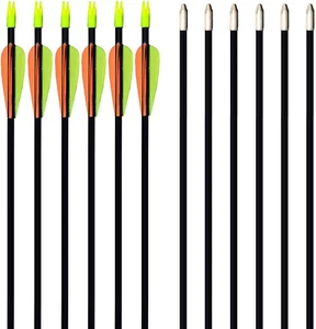28-Inches Fiberglass Archery Target Arrows - Practice Arrow or Youth Arrow for R - Picture 1 of 4